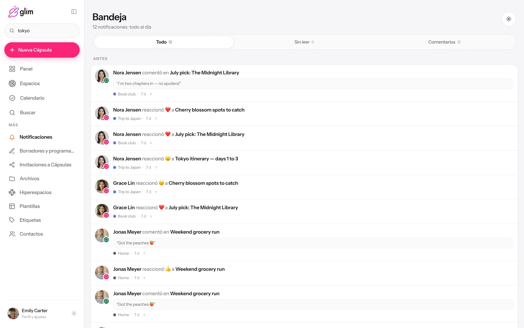 Glim en una laptop, mostrando espacios compartidos — Bandeja